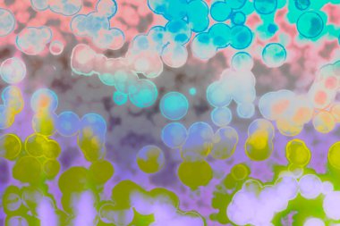 Bakteri hücre şekli: cocci, basiller, spirillum bakteri 