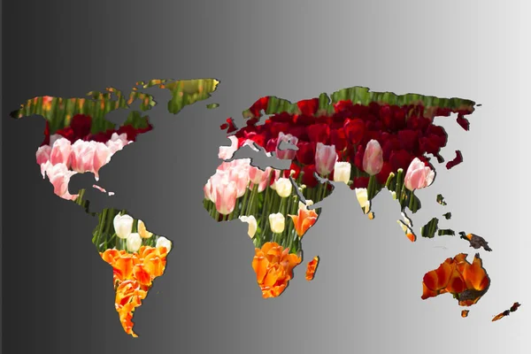 Roughly outlined world map with with tulip garden filling — Stock Photo, Image