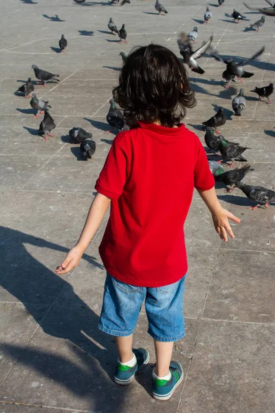 Çocuk beslemek için güvercinlerin sürüleri yakın yürüyor