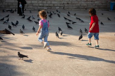 erkek ve kız beslemek için güvercin sürüleri yakınında yürüyor