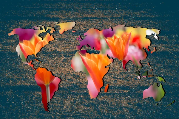 Mappa del mondo grossolanamente delineata con riempimento del giardino dei tulipani — Foto Stock