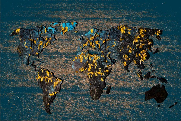 Грубо очерченная карта мира с сухим заполнением осенних листьев — стоковое фото