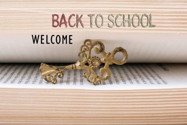 Retro tarzı anahtar bir tuval üzerine bir kitap içinde