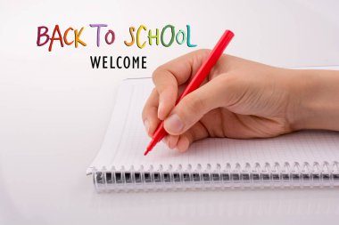 Bir deftere el yazısı