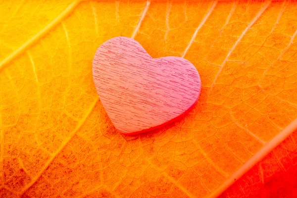 Coração em forma de objetos decorativos coloridos — Fotografia de Stock
