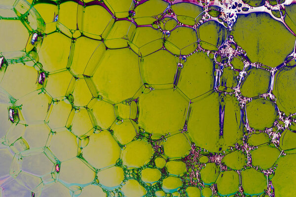 Macro shot of water oil emulsion over colored background