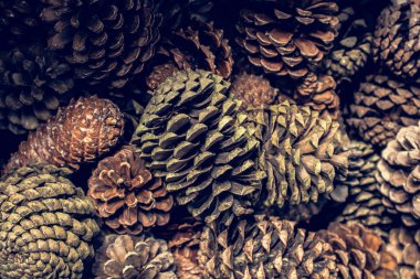 Doğal elementler olarak bolca çam kozalağı var.