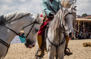  ile kısmi koşum takımı