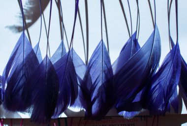 Dekoratif amaçlı parlak renkli tüylerin toplanması