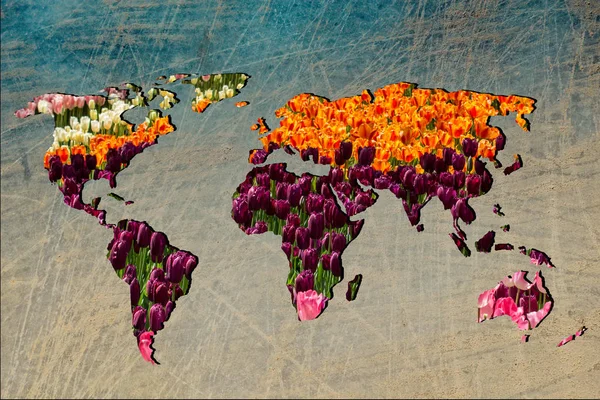 Mapa do mundo aproximadamente delineado com recheio de jardim de tulipa — Fotografia de Stock