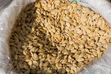 Kabak çekirdeği. Kabak çekirdeği arka plan dokusu