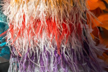 Dekoratif amaçlı parlak renkli tüylerin toplanması