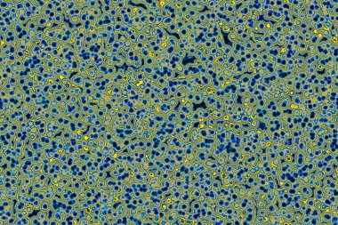 Bakteri hücre şekli: cocci, basiller, spirillum bakteri 