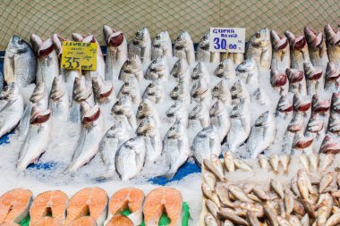 Taze balık pazarında Satılık