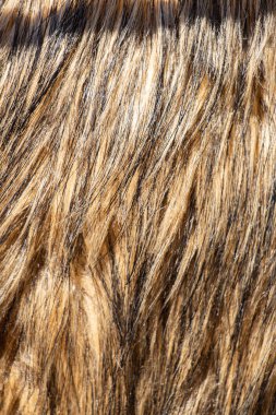 Arka plan olarak dekoratif hayvan kürk 
