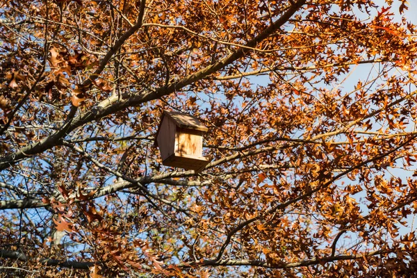 Houten zelfgemaakte birdhouse opknoping op een boom — Stockfoto