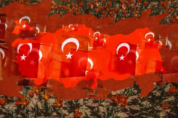 Turkse nationale vlag met witte ster en maan en tulpen — Stockfoto