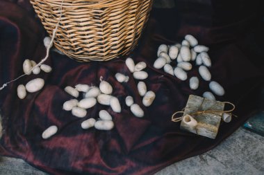 Ekranda beyaz ipekböceği kozaları lots