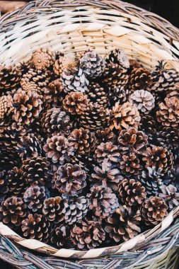 Doğal elementler olarak bolca çam kozalağı var.