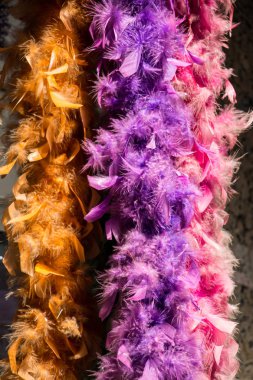 Güzel kuş tüyleri dekoratif amaçlar için