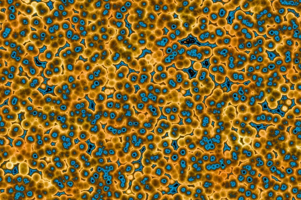 Forma de célula bacteriana: cocos, bacilos, bacterias de la espirilla — Foto de Stock