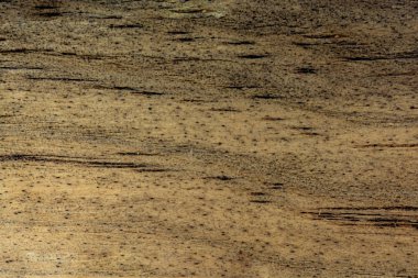 Doğal desenli ahşap doku.