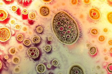 Renkli arka plan üzerinde hava kabarcıklar makro çekim