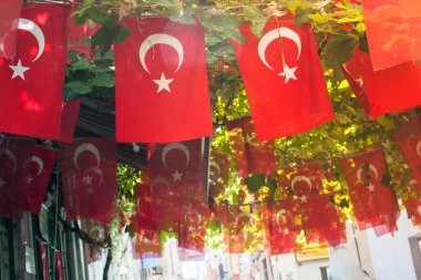 Türk ulusal bayrakları görünürde
