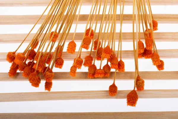 Skupina sušených oranžových barevných květů na dřevěném pozadí — Stock fotografie