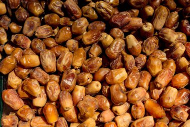 Lezzetli ve kurutulmuş hurma ağaçları. 