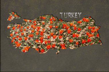 Türkiye Haritası kabaca iş kavramları olarak çizildi