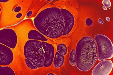 Kumaş ve tasarım için soyut mermer desen. Yaratıcı mermer arkaplan dokusu