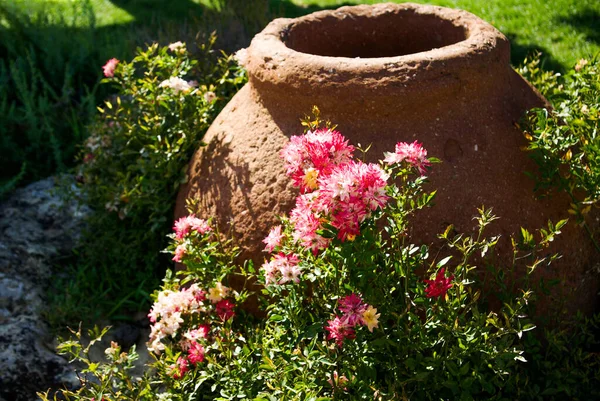 Rosas Color Rosa Lado Una Gran Cerámica Jardín — Foto de Stock