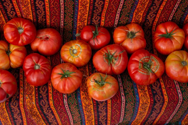 Tomate Vermelho Fresco Mercearia Para Conceito Fundos Alimentares — Fotografia de Stock