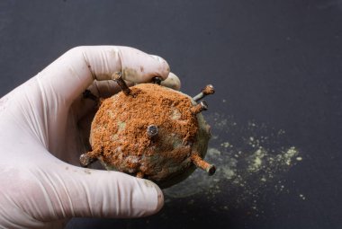 COVID-19 Corona virüsü küresel salgın hastalıklar konsepti