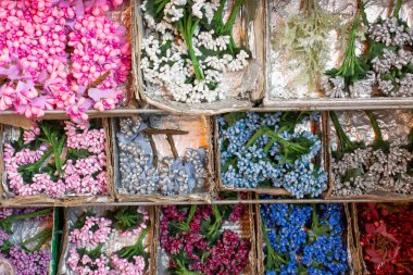 Renkli suni çiçeklerden yapılmış çiçek sanatı