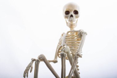 Tıbbi anatomi bilim kliniği konsepti için insan iskeleti modeli.