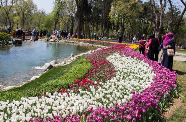 Bahar bahçesinde çiçek açan lale çiçekleri olan bahçe