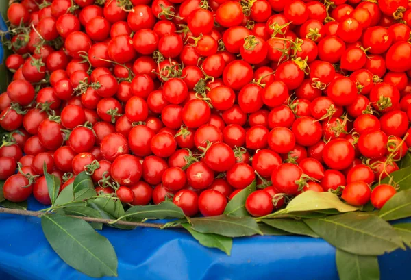 Verse Rode Tomaat Supermarkt Voor Voedsel Achtergronden Concept — Stockfoto