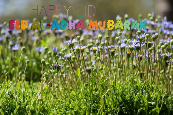 Gelukkig Eid Adha Eid Mubarak Wenskaart Islamitisch Festival Ontwerp — Stockfoto