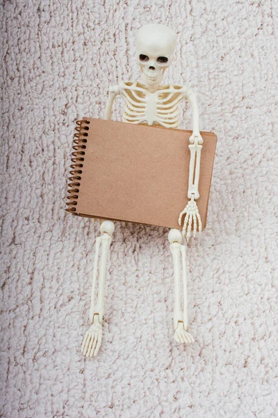 Modello Scheletro Umano Anatomia Medica Scienza Con Notebook Mano — Foto Stock