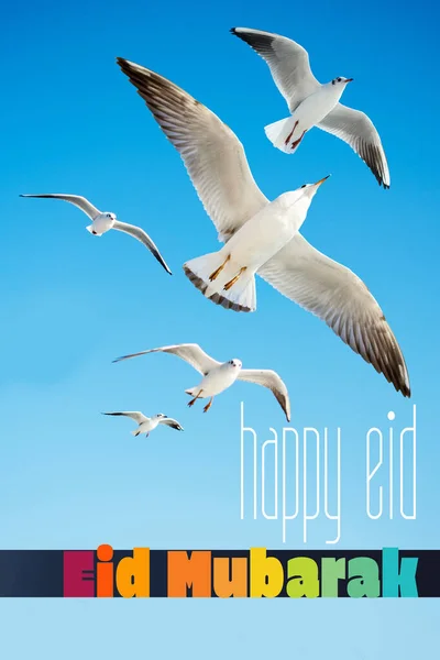 Γιορτή Της Θυσίας Happy Eid Adha Eid Mubarak Ευχετήρια Κάρτα — Φωτογραφία Αρχείου