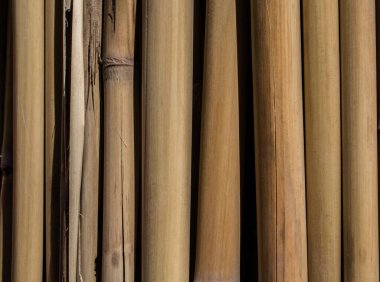 Tahta bambu sarı çubukların soyut arkaplanı