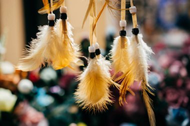 Dekoratif amaçlar için güzel renkli kuş tüyleri