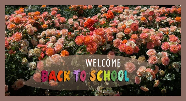 Terug Naar School Onderwijsachtergrond Voor Uitnodiging Promotieposter Banner — Stockfoto