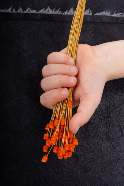 Bunch of dried flower in hand on dark background