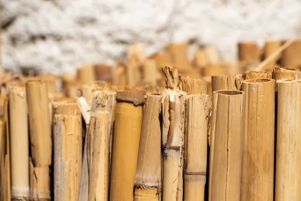 Tahta bambu sarı çubukların soyut arkaplanı