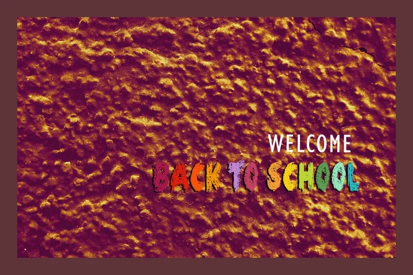 Zurück Zur Schule Designvorlage Für Einladung Werbeplakat Banner — Stockfoto