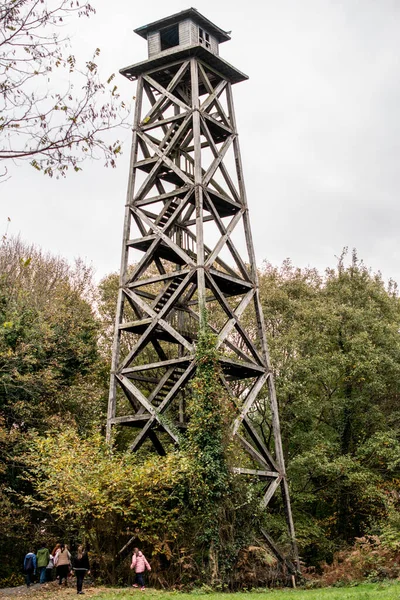 Ein Hoher Verlassener Holzturm Inmitten Von Bäumen — Stockfoto