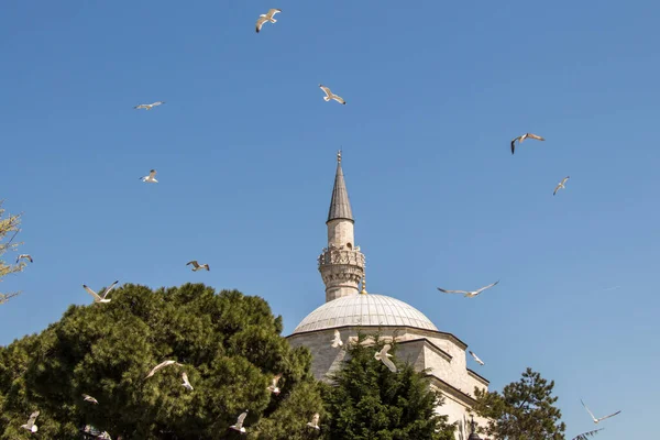 Minaret Ottoman Style Mosque Mosques View — Stock Photo, Image